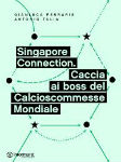 singapore_connection